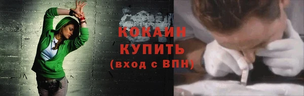 кокс Алексин