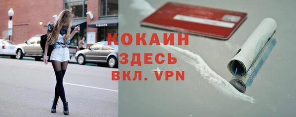 кокс Алексин