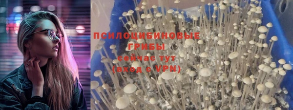 кокс Алексин
