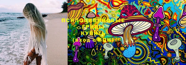 кокс Алексин