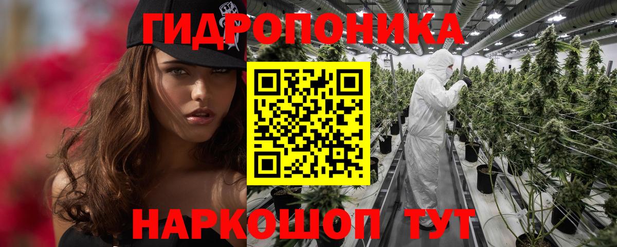 Каннабис OG Kush  Вход с VPN  Арзамас  Канабис тримм  Канабис конопля  Бошки марихуана LSD WEED 